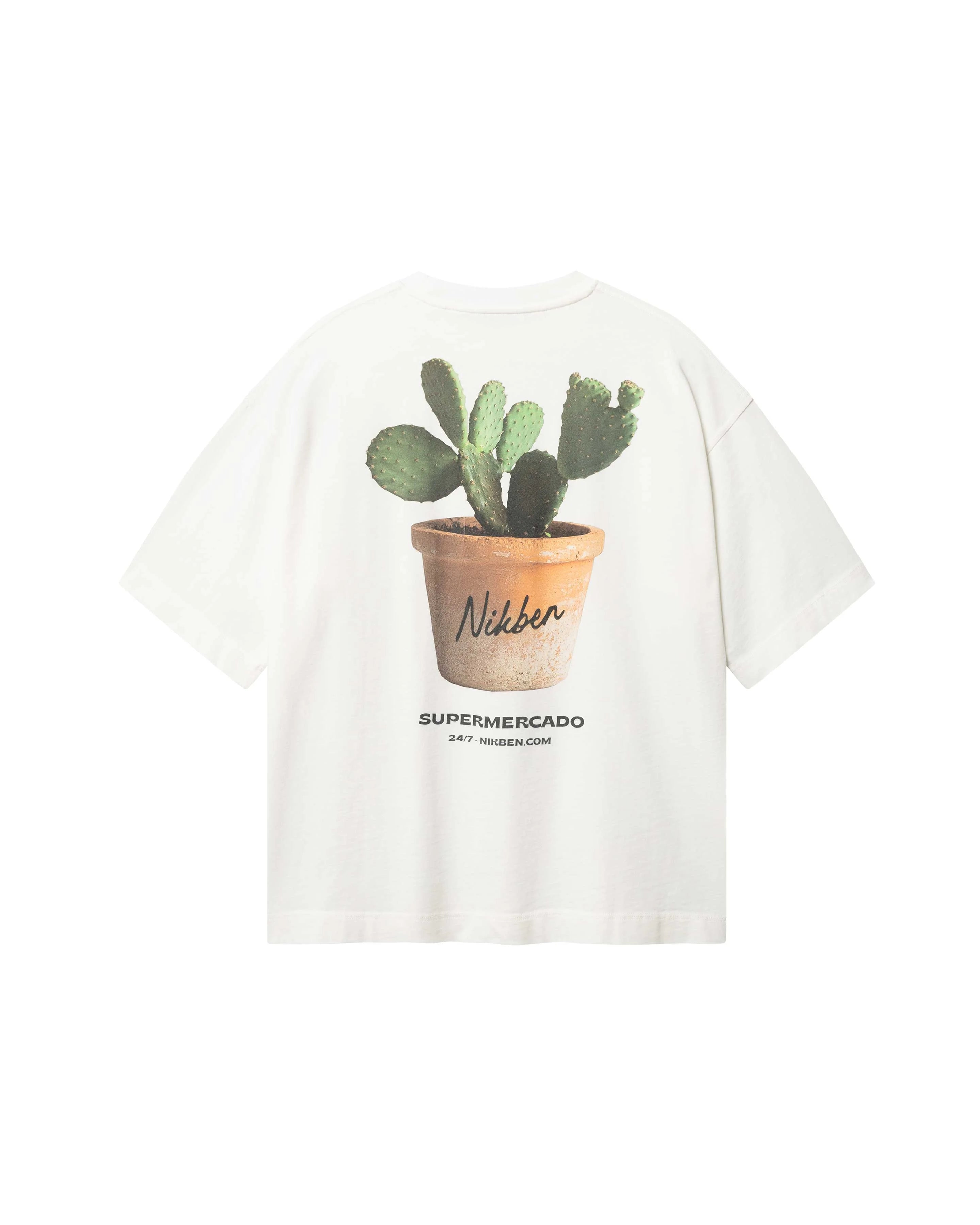 Houseplant Boxy Tee