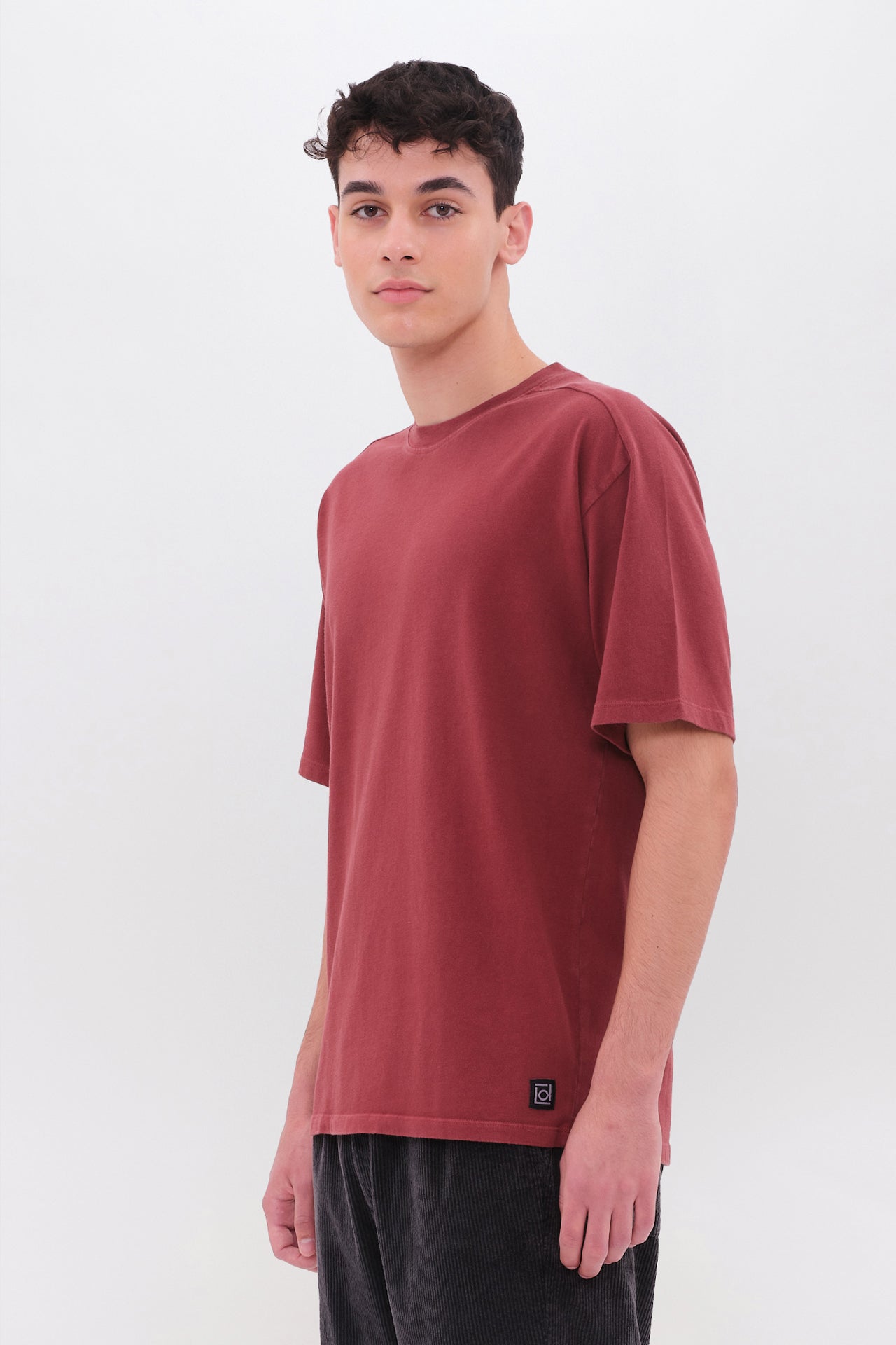 DLMT000646 - Regular Fit Raglan T-Shirt - Cherry