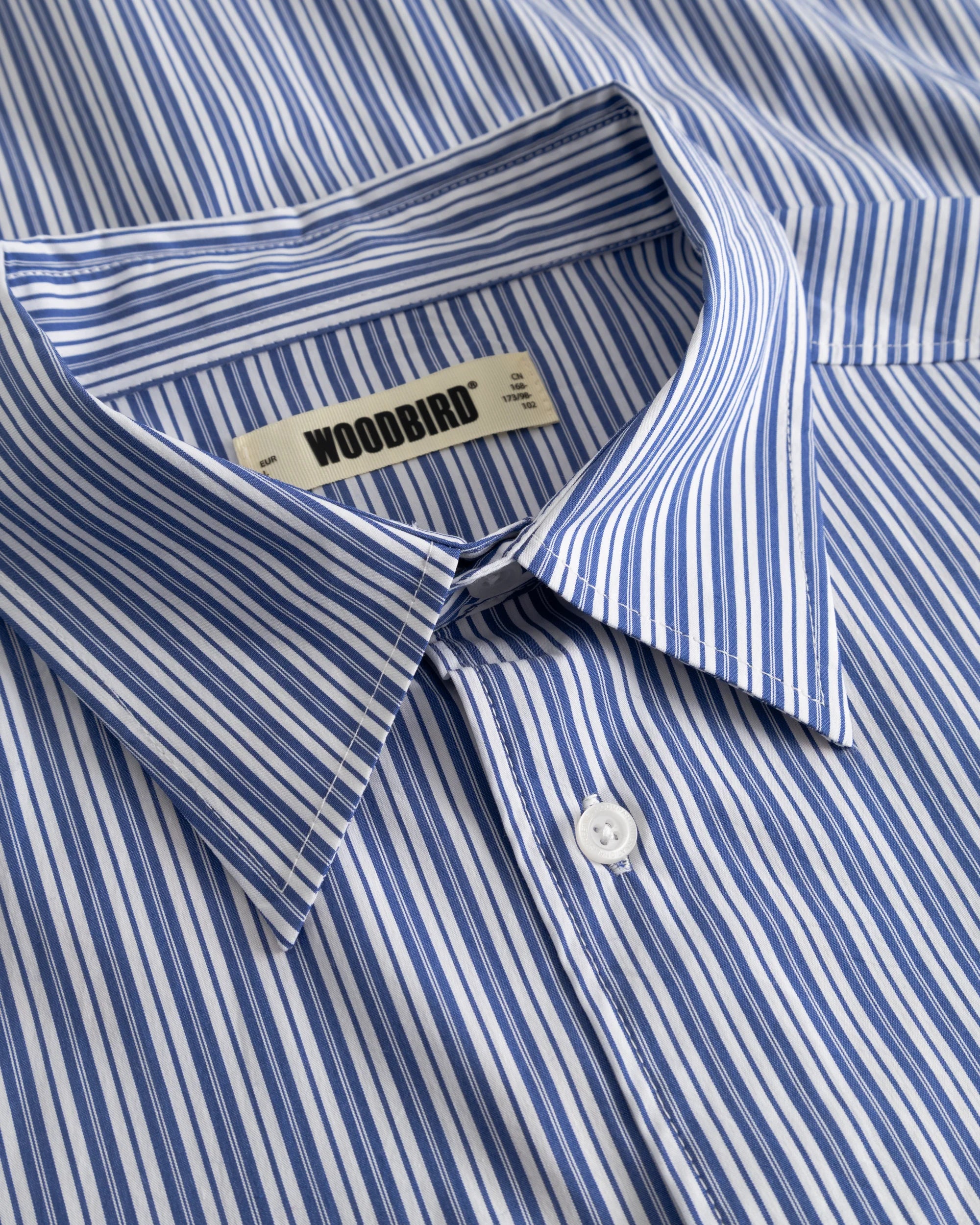 WBBROOKS LION SHIRT - LIGHT BLUE